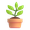 potted plant